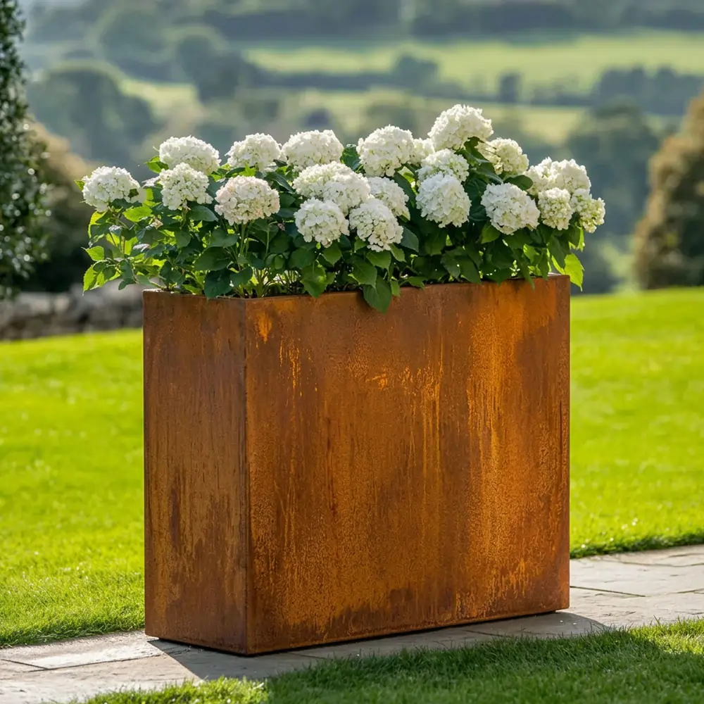 Planters Offer