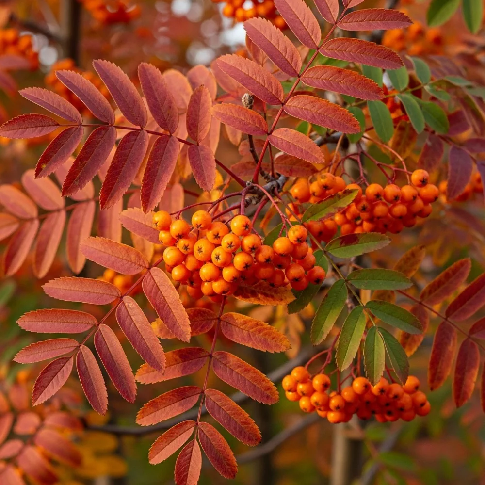 New In Zinc Planters
